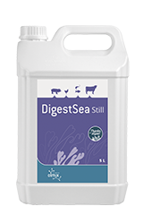 DigestSea Still 1L