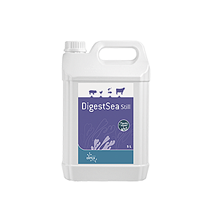 DigestSea Still 5L